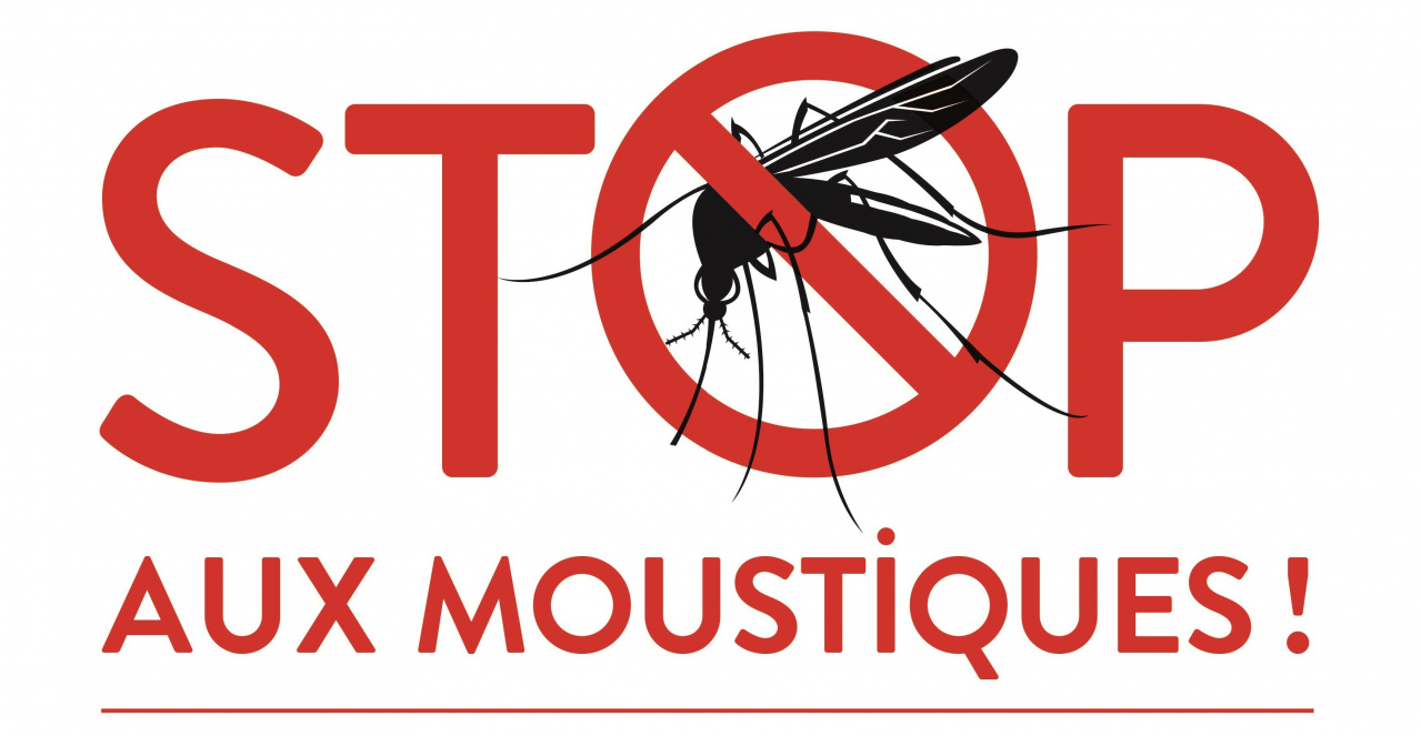 lutter contre les moustiques - BP 2022.png